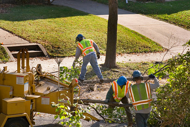 Lawn Drainage Solutions in Loveland Park, OH